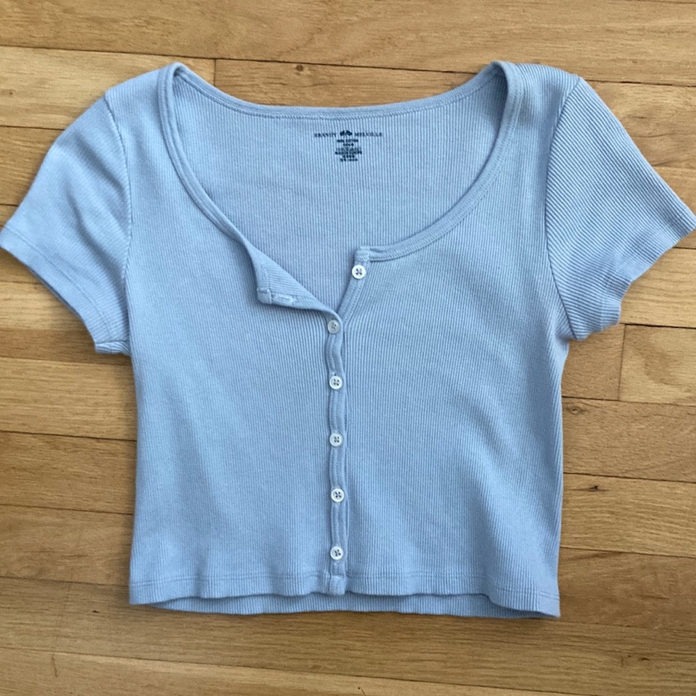 Brandy Melville blue crop top